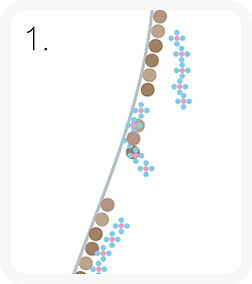 ポリリンホワイトニングの特長