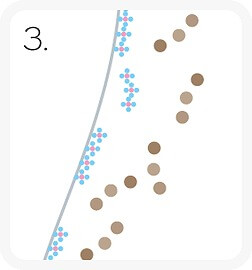 ポリリンホワイトニングの特長